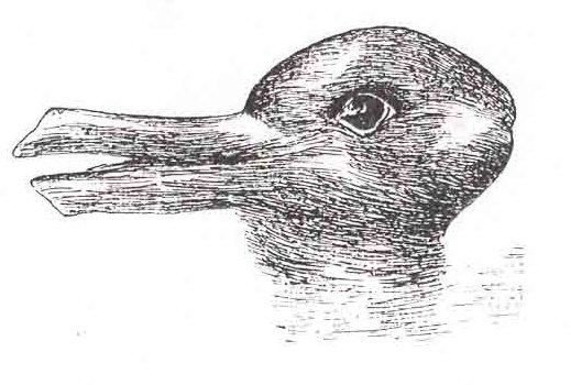 duck-rabbit optical illusion